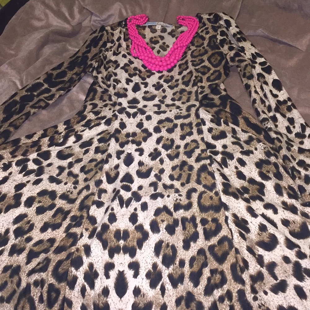 Cheetah Print 😍 long sleeve Skater Dress‼️